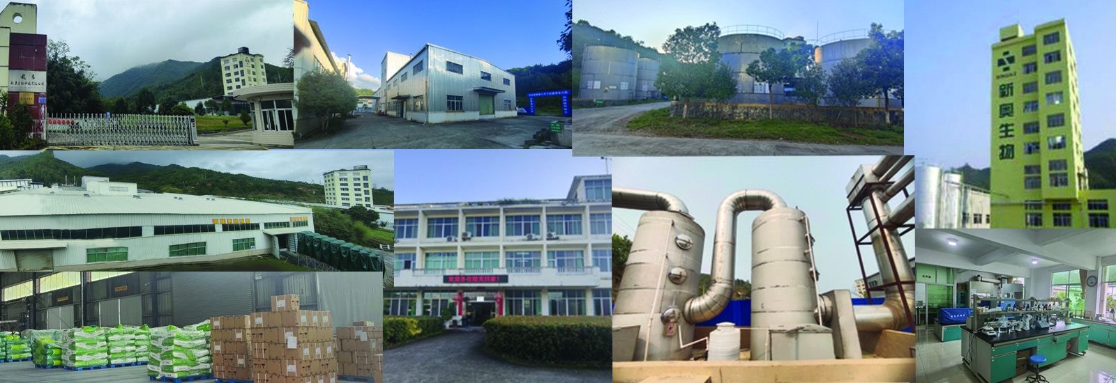 Butyrate กรดไขมันสายสั้น