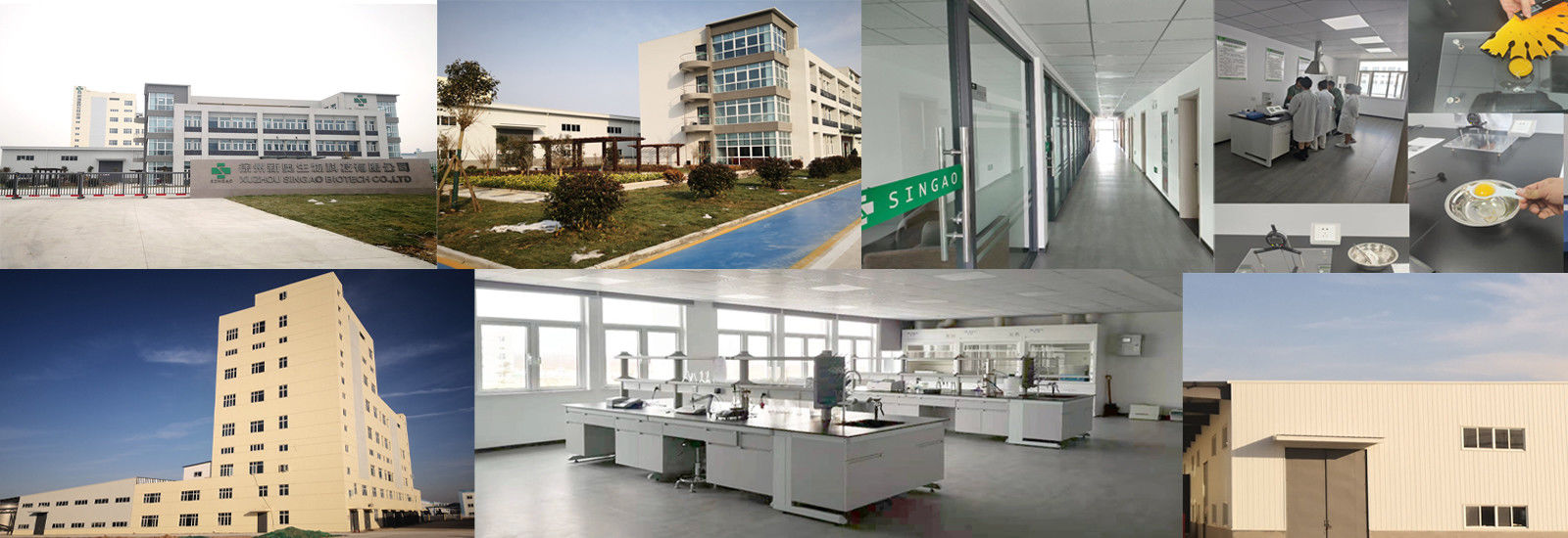 โซเดียมบิวทิเรตเคลือบ