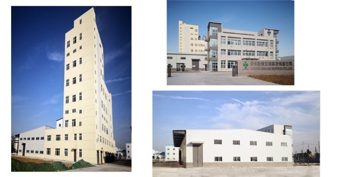 Singao (Xiamen) Agribusiness Development Co., Ltd. สายการผลิตของโรงงาน