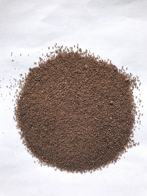 โปรบิโอติก Clostridium butyricum