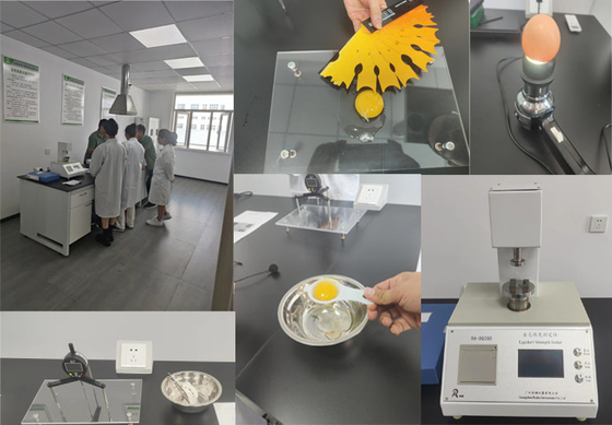 Ball Shape Granule Microencapsulated Sodium Butyrate 90% สำหรับสัตว์เลี้ยง
