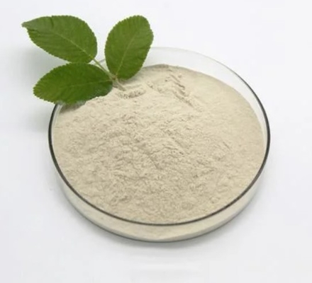 บาซิลลัส Subtilis 90% C4H7O2Na โซเดียมบิวทิเรตผง CAS 156-54-7