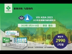 วิฟ อาไซ อิน แบงค็อก ประเทศไทย